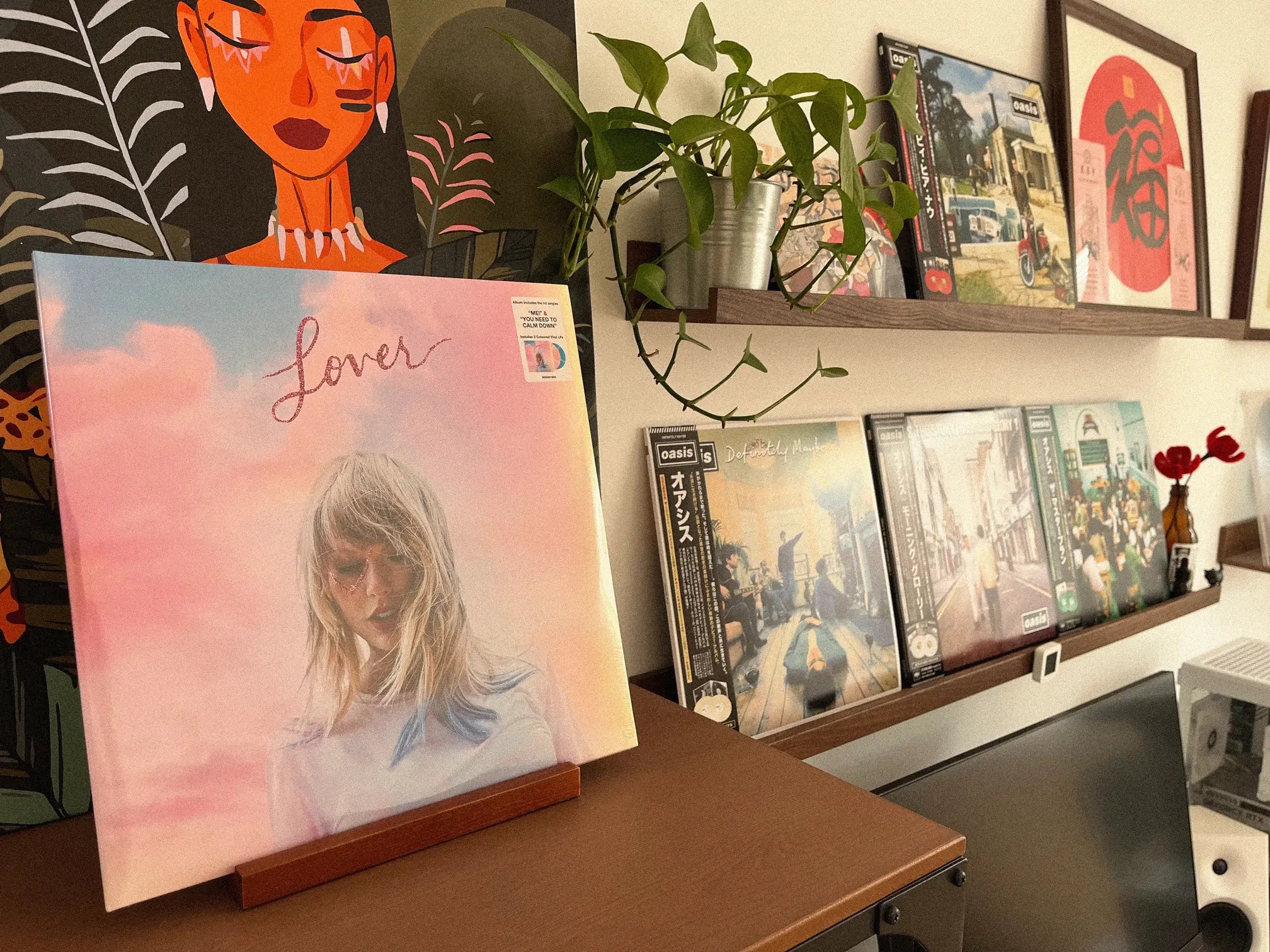  The Vinyl Decor-Taylor Swift Lover Vinyl Display and Storage