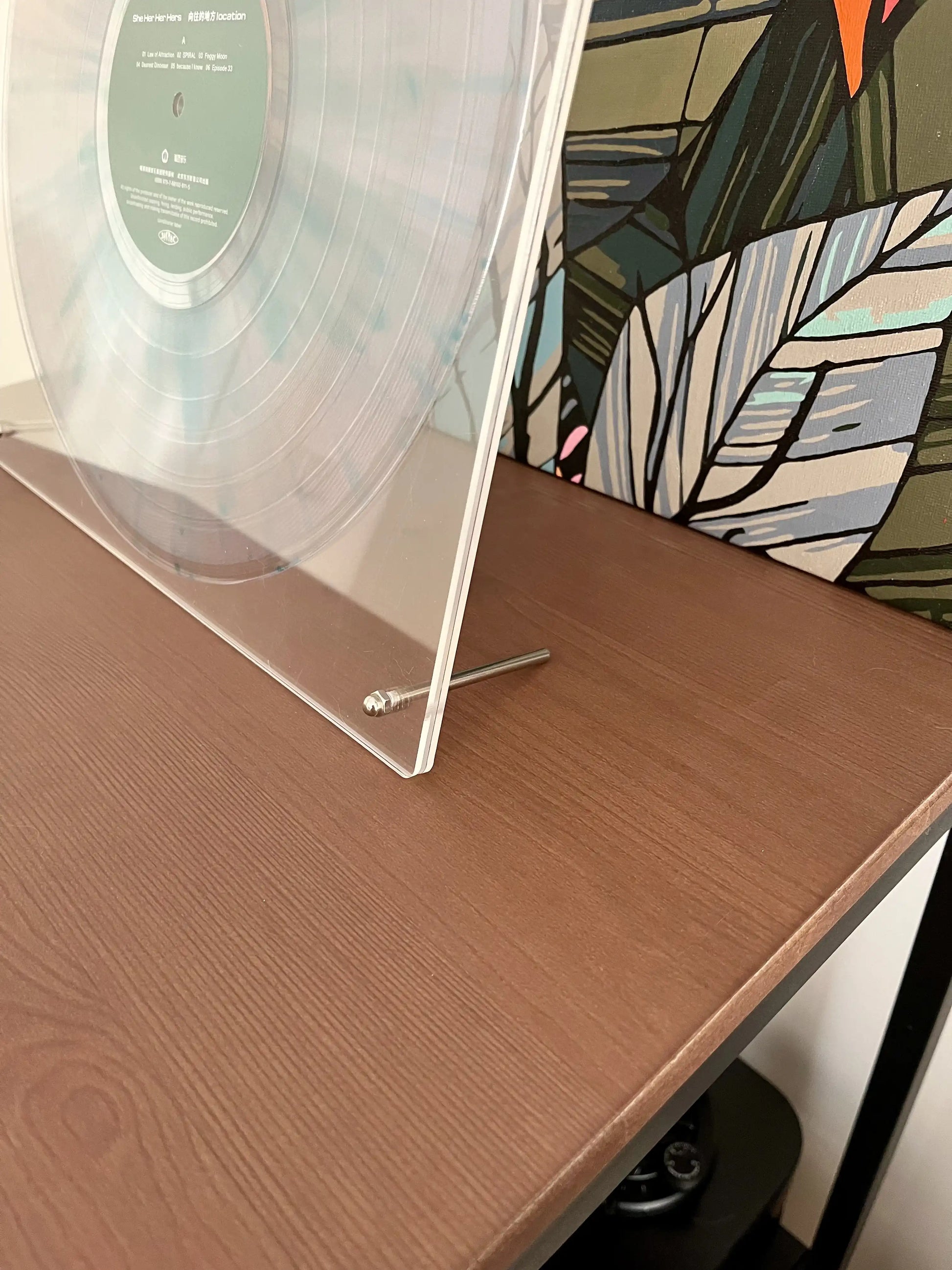 The Vinyl Decor-Clear Vinyl Record Display Case - Vinyl Wall / Vinyl Storage / Vinyl Display in Modern Style